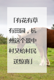 有花有草有田园，杭州这个景中村又给村民送惊喜
