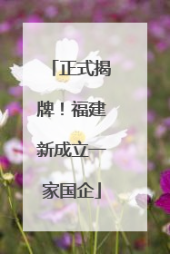 正式揭牌！福建新成立一家国企