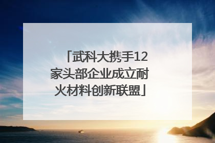 武科大携手12家头部企业成立耐火材料创新联盟