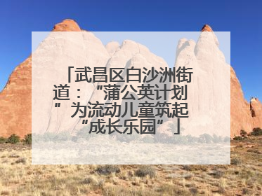 武昌区白沙洲街道：“蒲公英计划”为流动儿童筑起“成长乐园”