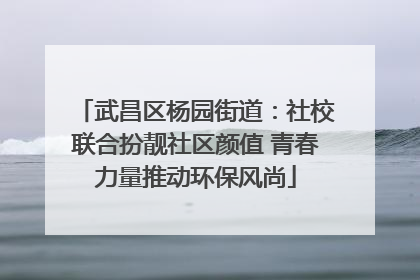 武昌区杨园街道：社校联合扮靓社区颜值 青春力量推动环保风尚