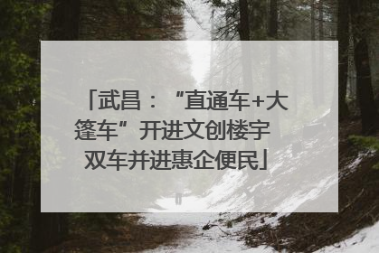 武昌：“直通车+大篷车”开进文创楼宇 双车并进惠企便民
