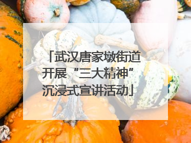 武汉唐家墩街道开展“三大精神”沉浸式宣讲活动