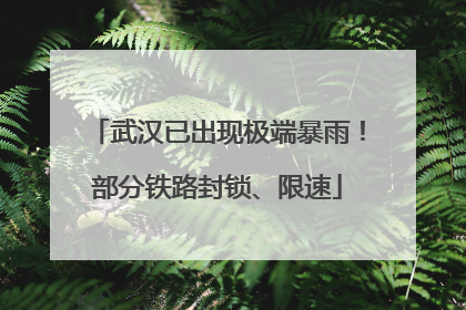 武汉已出现极端暴雨！部分铁路封锁、限速