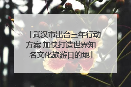 武汉市出台三年行动方案 加快打造世界知名文化旅游目的地