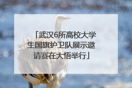 武汉6所高校大学生国旗护卫队展示邀请赛在大悟举行