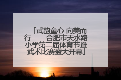 武韵童心 向美而行——合肥市天水路小学第二届体育节暨武术比赛盛大开幕