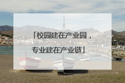 校园建在产业园，专业建在产业链