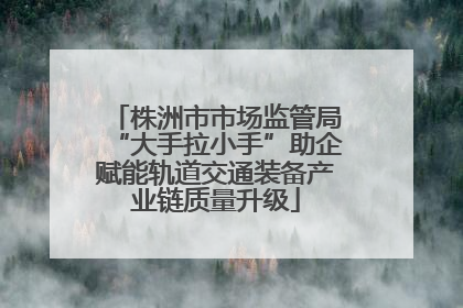 株洲市市场监管局“大手拉小手”助企赋能轨道交通装备产业链质量升级