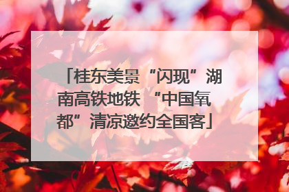 桂东美景“闪现”湖南高铁地铁 “中国氧都”清凉邀约全国客