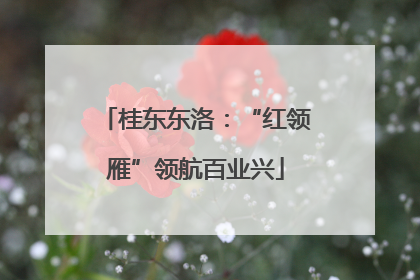 桂东东洛：“红领雁”领航百业兴