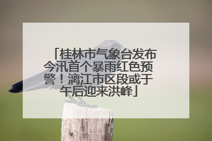 桂林市气象台发布今汛首个暴雨红色预警！漓江市区段或于午后迎来洪峰