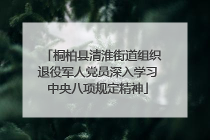 桐柏县清淮街道组织退役军人党员深入学习中央八项规定精神