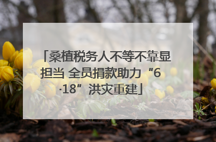 桑植税务人不等不靠显担当 全员捐款助力“6·18”洪灾重建