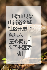 梁山县梁山街道金城社区开展“欢乐六一，童心同行”亲子主题活动