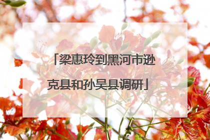 梁惠玲到黑河市逊克县和孙吴县调研