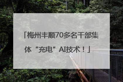 梅州丰顺70多名干部集体“充电”AI技术！