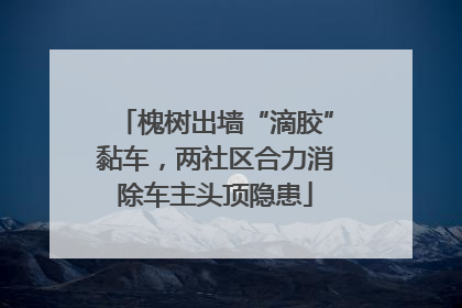 槐树出墙“滴胶”黏车，两社区合力消除车主头顶隐患