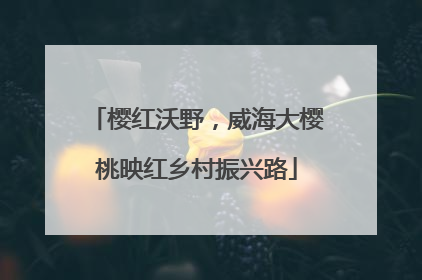 樱红沃野，威海大樱桃映红乡村振兴路