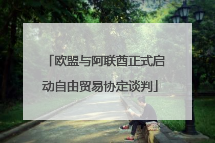 欧盟与阿联酋正式启动自由贸易协定谈判