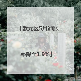 欧元区5月通胀率降至1.9%