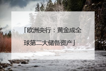 欧洲央行：黄金成全球第二大储备资产