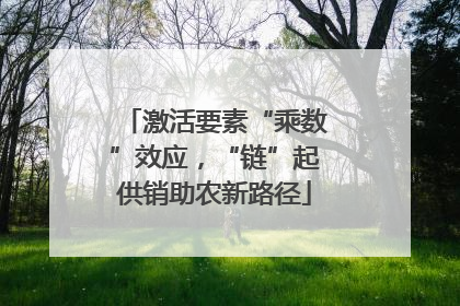 激活要素“乘数”效应，“链”起供销助农新路径