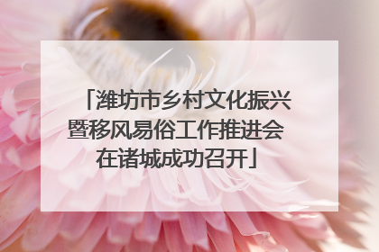 潍坊市乡村文化振兴暨移风易俗工作推进会在诸城成功召开