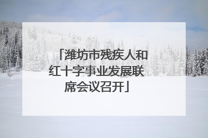 潍坊市残疾人和红十字事业发展联席会议召开