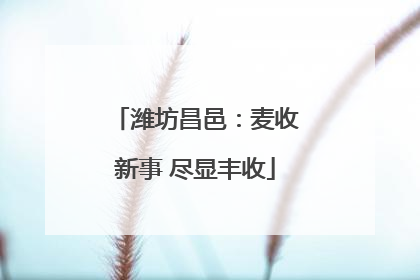 潍坊昌邑：麦收新事 尽显丰收