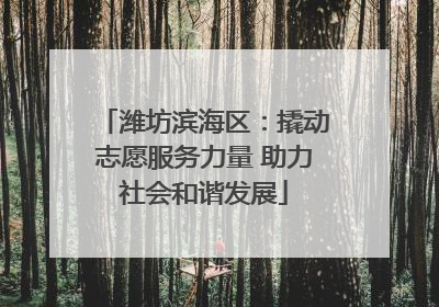 潍坊滨海区：撬动志愿服务力量 助力社会和谐发展