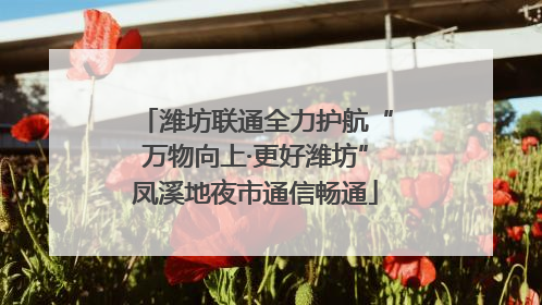 潍坊联通全力护航“万物向上·更好潍坊”凤溪地夜市通信畅通