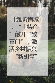 潍坊诸城：“土特产”敲开“致富门”，激活乡村振兴“新引擎”