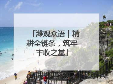 潍观众语｜精耕全链条，筑牢丰收之基