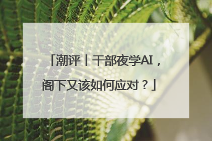 潮评丨干部夜学AI，阁下又该如何应对？