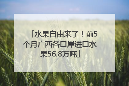 水果自由来了！前5个月广西各口岸进口水果56.8万吨
