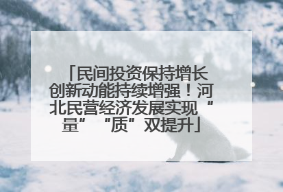 民间投资保持增长 创新动能持续增强！河北民营经济发展实现“量”“质”双提升