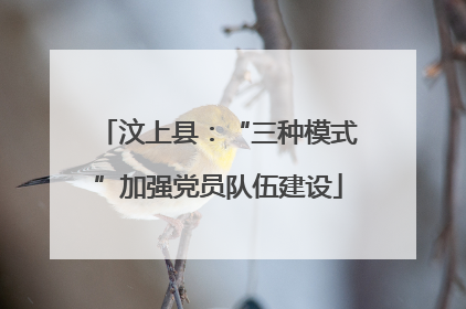 汶上县：“三种模式”加强党员队伍建设