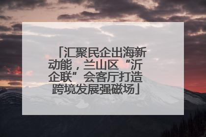 汇聚民企出海新动能，兰山区“沂企联”会客厅打造跨境发展强磁场