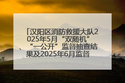 汉阳区消防救援大队2025年5月“双随机”、“一公开”监督抽查结果及2025年6月监督抽查任务公示