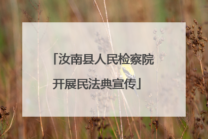 汝南县人民检察院开展民法典宣传