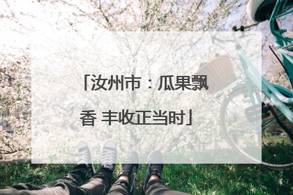 汝州市：瓜果飘香 丰收正当时