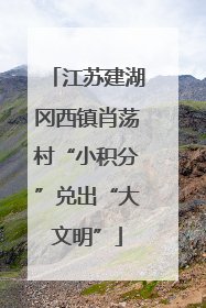 江苏建湖冈西镇肖荡村“小积分”兑出“大文明”