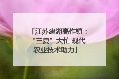 江苏建湖高作镇：“三夏”大忙 现代农业技术助力