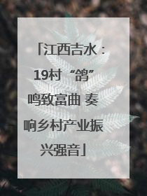 江西吉水：19村“鸽”鸣致富曲 奏响乡村产业振兴强音