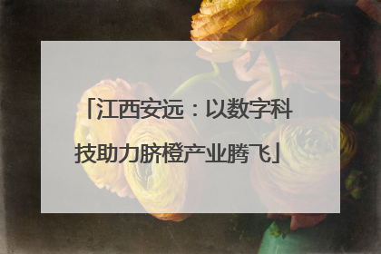 江西安远：以数字科技助力脐橙产业腾飞