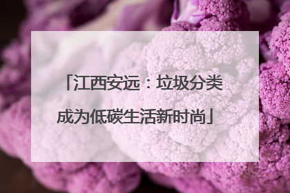 江西安远：垃圾分类成为低碳生活新时尚