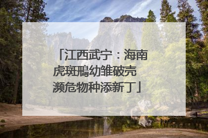江西武宁：海南虎斑鳽幼雏破壳 濒危物种添新丁