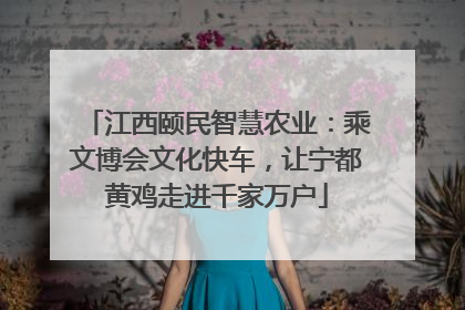 江西颐民智慧农业：乘文博会文化快车，让宁都黄鸡走进千家万户