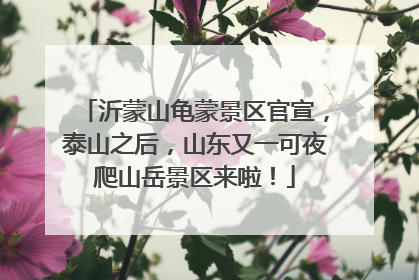 沂蒙山龟蒙景区官宣，泰山之后，山东又一可夜爬山岳景区来啦！